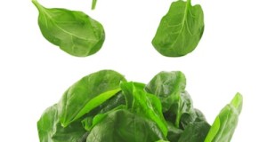 SPINACH; SUPERFOOD TUESDAY