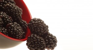 Blackberries: A Super Food